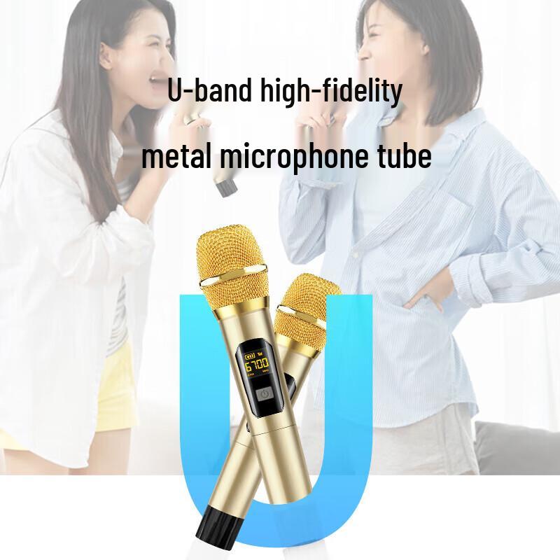 SA-X62 12-inch Portable Bluetooth Karaoke Speaker CN Plug (adapter Included)