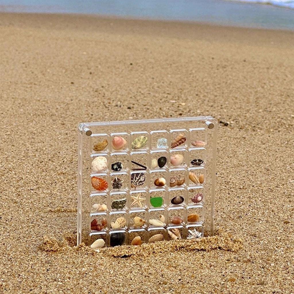 Acrylic Magnetic Seashell Display Box, Seashell Storage Box, Nail Arts Storage Box, Bead, Small Organizers For Seashell, Bead, Manicure, Jewelry