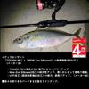 Daiwa UVF PE Durase sensor X4 Si2 Coral Red 1.2-300 Fishing Line 300m