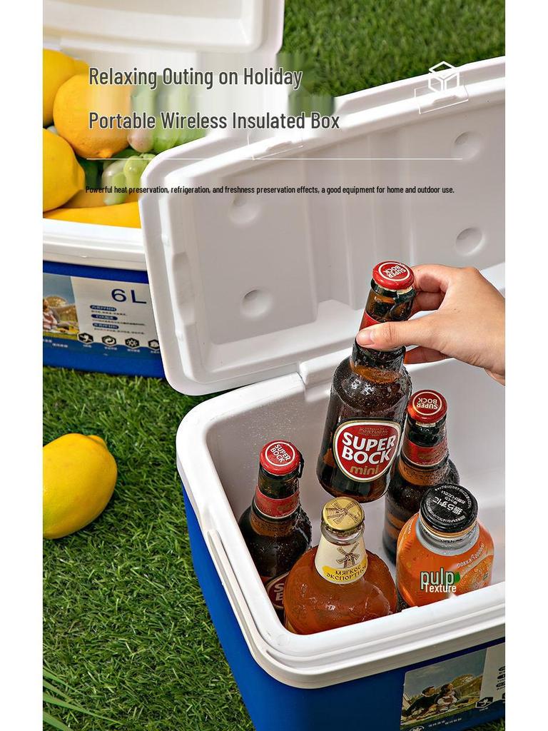 Portable Insulated Refrigerated Box for Home, Car, and Outdoor Use