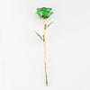 Deep Green Gold Rose, ZJchao Gold Rose Love Forever Long Stem Dipped 24k Rose Foil Trim Gifts