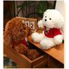 Bear Teddy Stuffed Toy Girl Birthday Gift Cartoon Cute Sweater Dog Figure Action