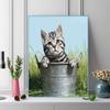 Cute American Shorthair cat Pattern  3pcs 100% Round Full Drill 5D DIY Diamond Painting Embroidery Cross Stitch Rhinestone Décor