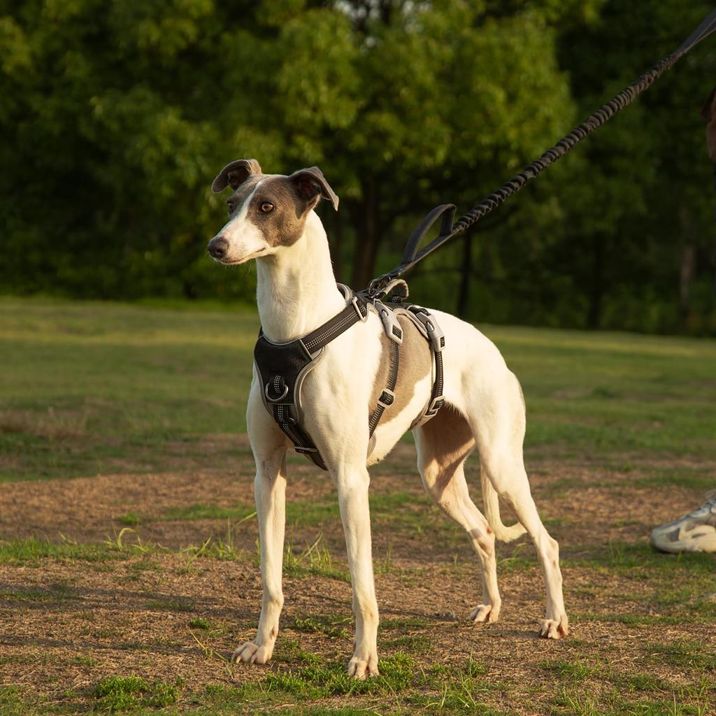 Huntboo Câine Potrivit pentru și Mare Ajustabil Ușor de Pus și Scos pentru Plimbare și Dresaj Ham, Mic, Mediu, Câini, Anti-Alunecare, Anti-Evadare,