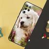 Golden Retriever Dog Case For Oppo A58 A78 A98 A18 A38 A74 A94 A54 A15 A17 A57 A6 A5 Pro A16 A76 A96 A40 A60 A80