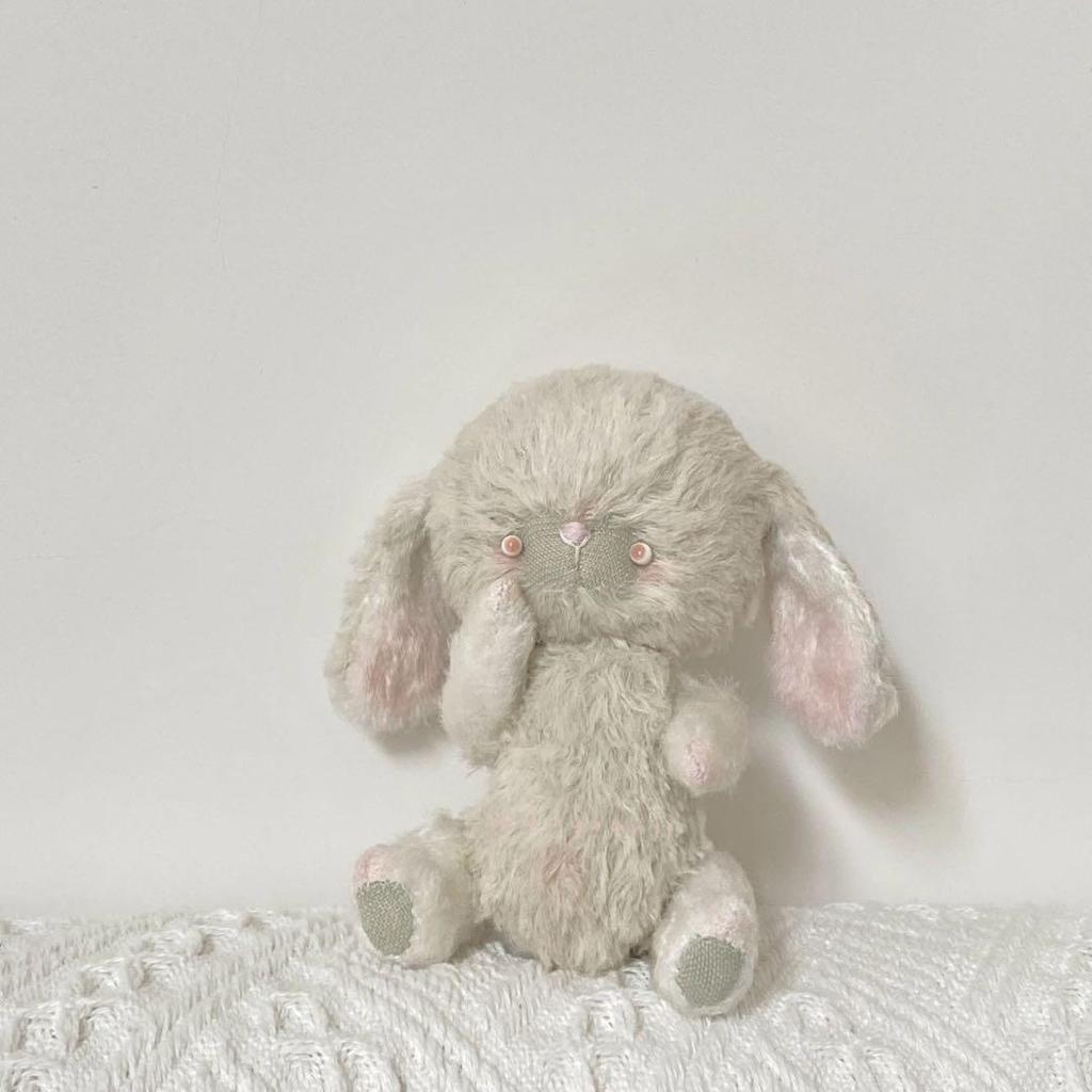 [USED] Artist Bear Teddy Bear Mint Rabbit Rabbit Handmade by Overseas Artists
