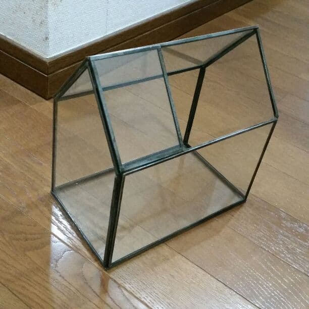 

[USED] Showcase, glass case, figure case, Unico style, Nico and style, display shelf