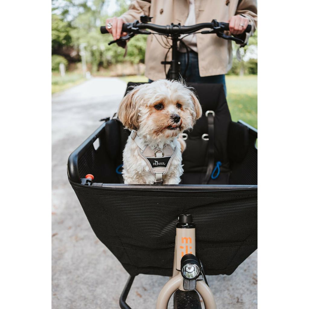 Dog Harness Hunter DIVO UP Beige XS