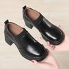 Women's Leather Shoes Thick Heel Spring and Autumn Women's Shoes Mother Shoes Soft Sole Deep Mouth Single Shoes Women's Head High Heels
