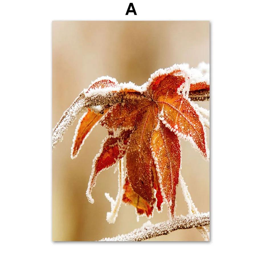 

Modern Nordic Scandinavian Style Autumn Scenery Animal Poster, Landscape Canvas Painting, Print Wall Art Picture, Living Room De 21x30cm No Framed