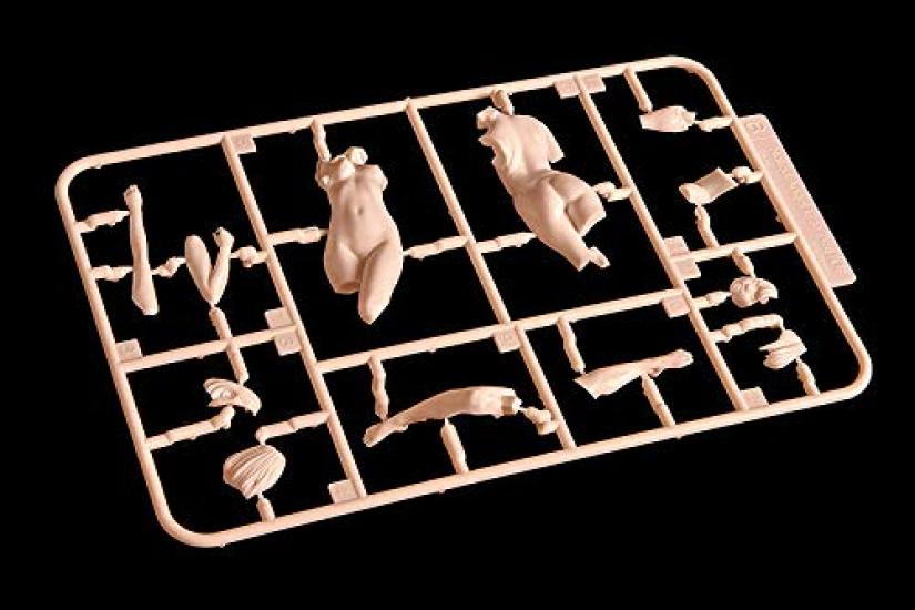 PLAMAX Naked Angel Makoto Toda Scale PS Assembled Plastic Model 1/20 1/20