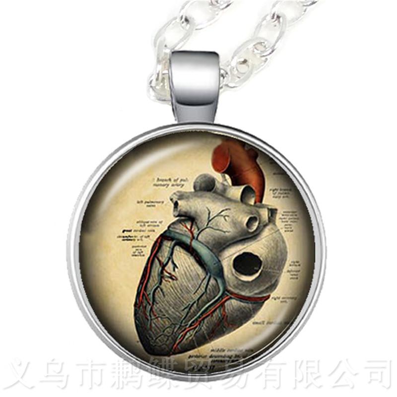 

Human Anatomy Organ Necklace Glass Cabochon Science Medical Punk Brain Eye Jewelry Sweater chain Creative Gift