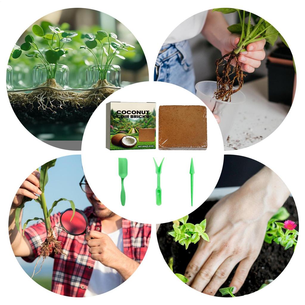 Plant cultivation coconut fiber brick Reusable Natural Bricks Gardening Accessory for Hydroponics Gardening Accessories