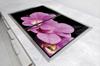 GLAS-SCHUTZPLATTE 75x52 ORCHIDEE
