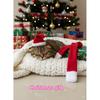 Cat Christmas Costume Santa Hat with Scarf &Small Dogs - Funny Santa Hat and Scarf Outfit for Holiday Photos, Dress Up&Parties Adjustable Cat