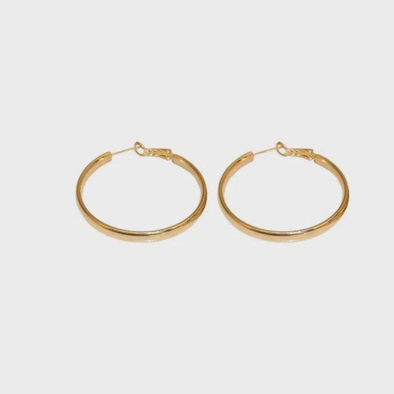 Brincos de Argola de Metal Franceses - Novo Estilo 2023, Temperamento Único, Design Simples para Senhoras