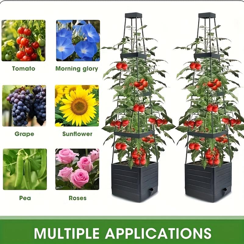 Tomato Cage with Automatic Watering Planting Box and Grid Rack for Rock Climbing Vegetable Plants, Suitable for Courtyards