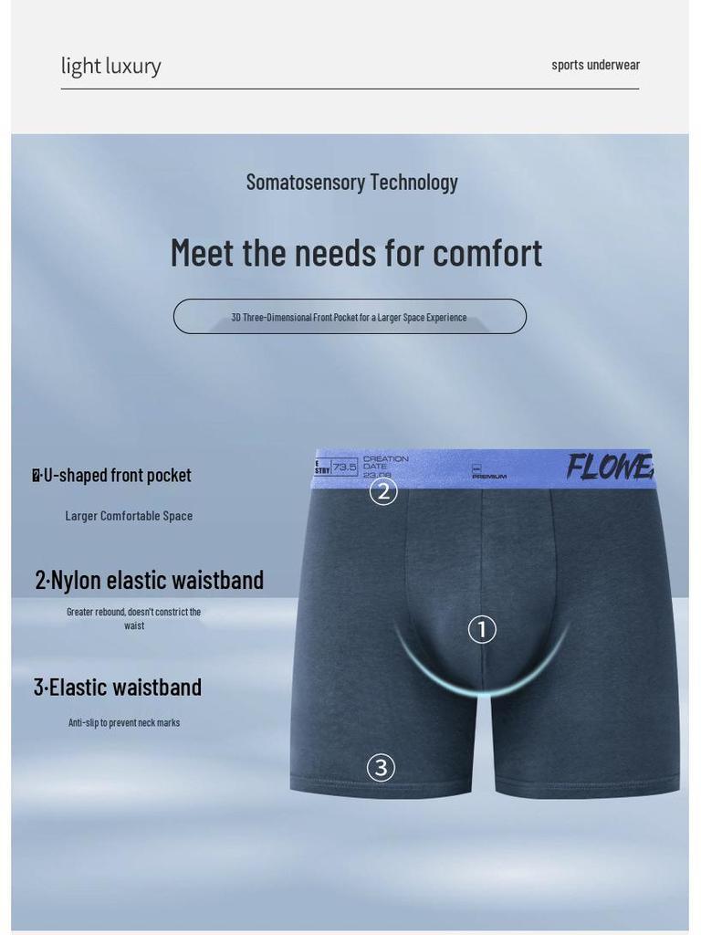 Men's European & American Large Size Cotton Boxer Briefs