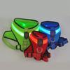 Breathable Pet LED Harness Rechargeable Dog Vest Practical Dog Traction Harness  Walking The Dog