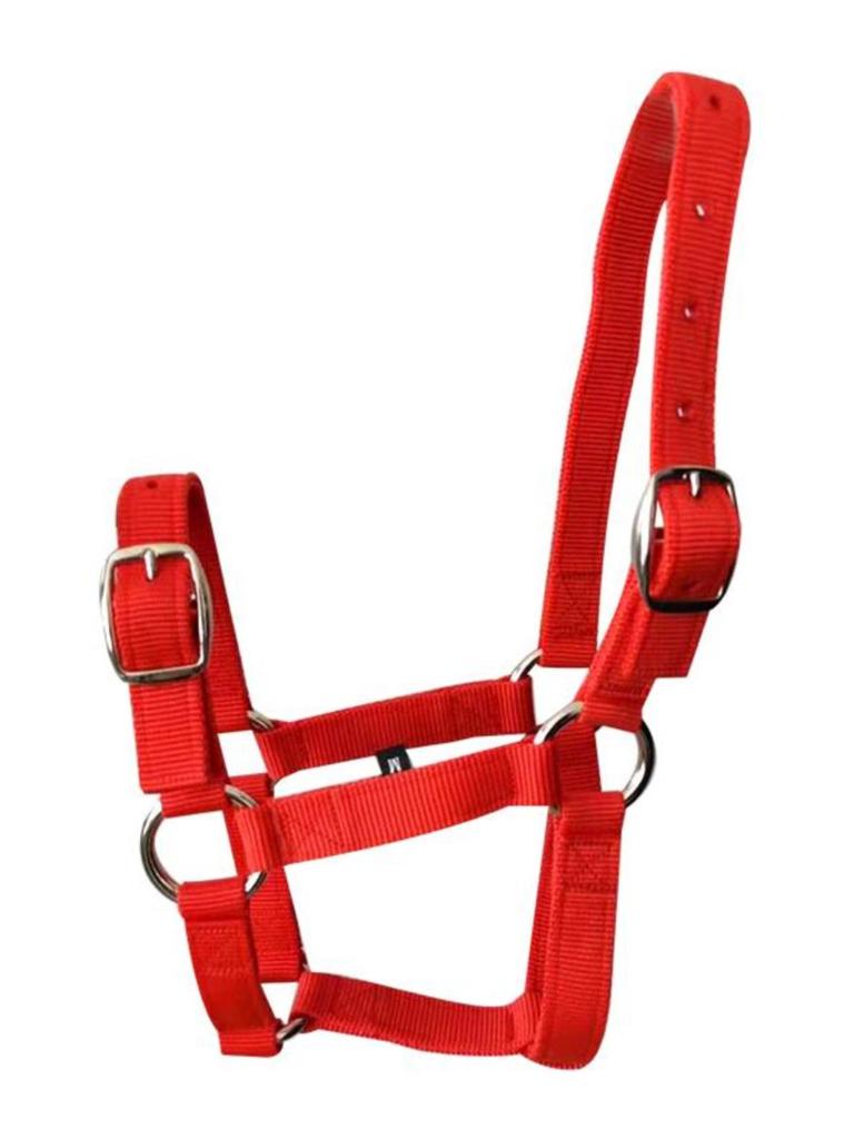 Adjustable Horse Bridle & Harness Set with Water Bridle, Bit & Handmade Reins - Equestrian Gear