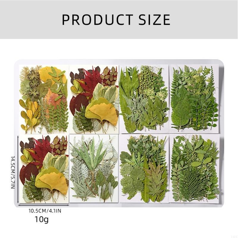 35Pcs Natural Pressed Dried Leaves Set For Candle Making Jewelry Making Art Craft Bookmarks Crafting Scrapbooking