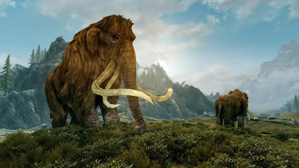 The Elder Scrolls V: Skyrim(R)