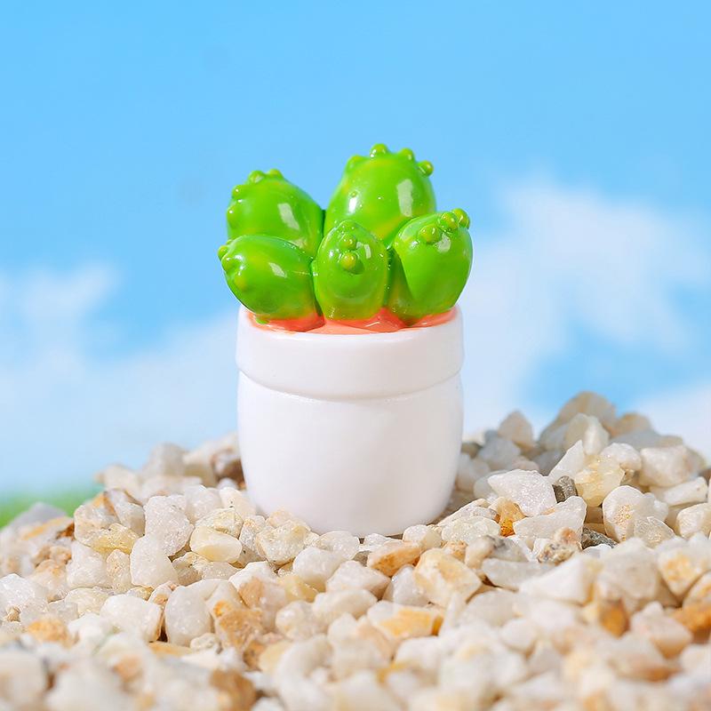 Mini Cactus & Succulent DIY Decor Set for Desktop & Car
