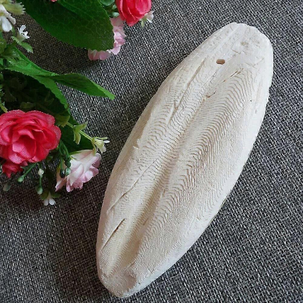 20 SZT Naturalna Kość Sepii 10 cm Źródło Wapnia dla Zwierząt Domowych, Ptaków i Gadów