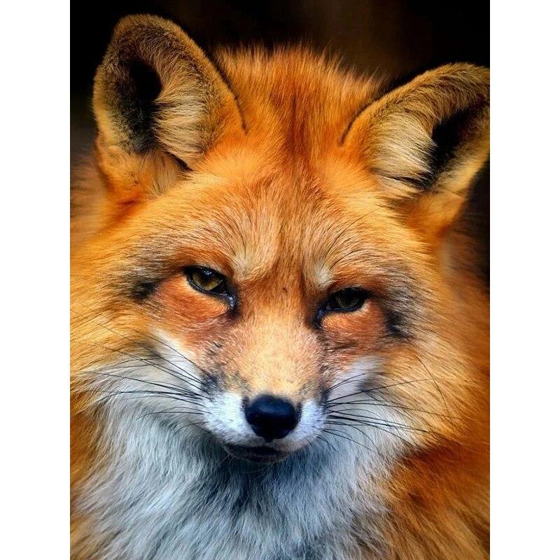 New 5D DIY Diamond Painting Red Fox Diamond Embroidery Animals Cross Stitch Full Round Drill Home Decor Manual Art Gift