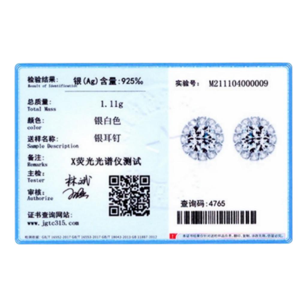 Ada Jewelry Trendy Engagement Women's Delicate Korean Design Simple Anti-Allergic S925 Silver Zircon Stud Earrings