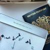 Stitch Where You'Ve Been: Passport Cover Cross Stitch Kit Beginner-Friendly Embroidery Passports Holder Travel Gift For Family