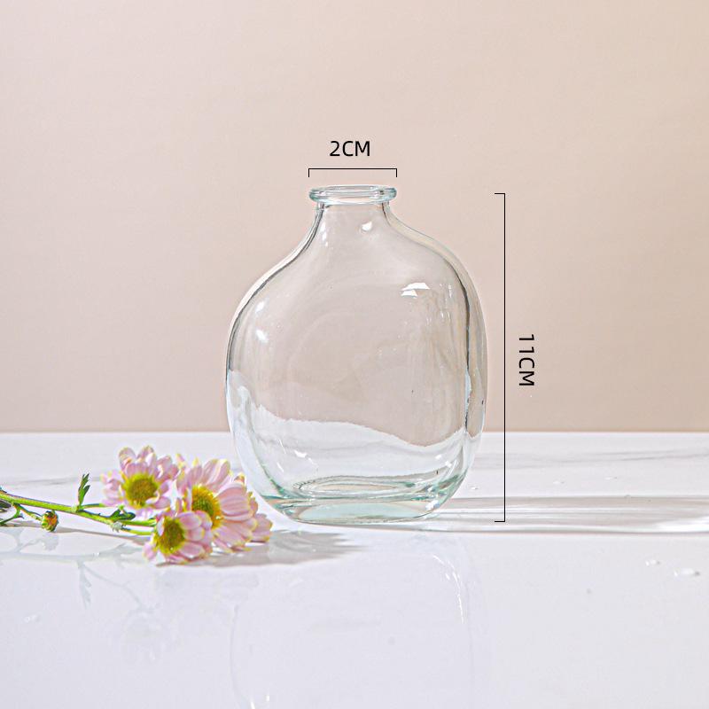 Minimalist Glass Vase for Hydroponic Green Plants - Perfect for Living Room Flower Arrangements and Home Decor