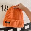 Couple Autumn and Winter Warm Knitted Hat Street Style Patch Wool Hat Women Korean Style Ins Versatile Autumn Ear Protection Hat