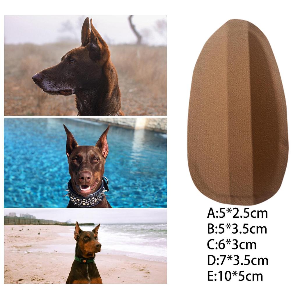 Pet Lrge Dogs Er