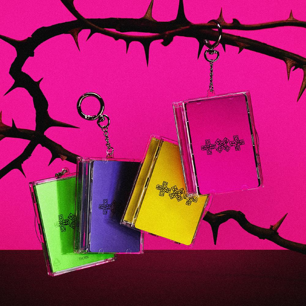 Pre-order TXT 7th Year: A Moment of Stillness In the Thorns Photo Card Case Ver.