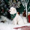 Dog Bandana Christmas HO Pine Needle Neaves Printed Pet Bandana Scarf Triangle Kerchief Pet Accessories Decoration  Pets Christm