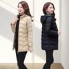 Down Cotton-padded Clothes Women's Long Models, New Cotton-padded Clothes, Versatile Women's Clothing, Winter Warm Cotton-padded Jacket