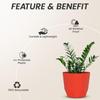 4 Inch Pack of 3 Piece Plastic Plant Pot for Home Decor Indoor Plant Pots for Living Room Plastic Flower Pot for Garden (Red)
