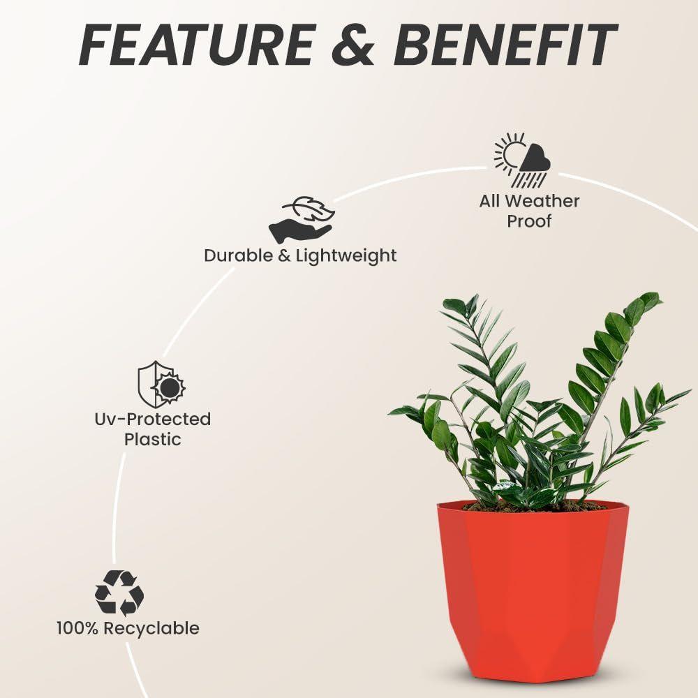 4 Inch Pack of 3 Piece Plastic Plant Pot for Home Decor Indoor Plant Pots for Living Room Plastic Flower Pot for Garden (Red)