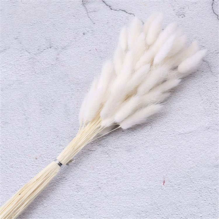 60pcs Natural Dried Lagurus Ovatus Foxtail Bouquet for Decoration