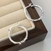 High-quality Stainless Steel Hypoallergenic Hoop Earrings, Comfortable and Versatile, Simple and Elegant, Fashionable Women's Earrings