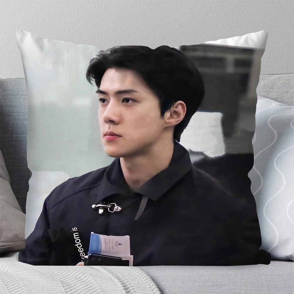 Koreanischer Prominenter SE HUN Kissenbezug Quadratisches Kissen Schlafzimmer Sofa Freizeit Komfort Kissen Auto Wohnzimmer Heimdekoration 40X40