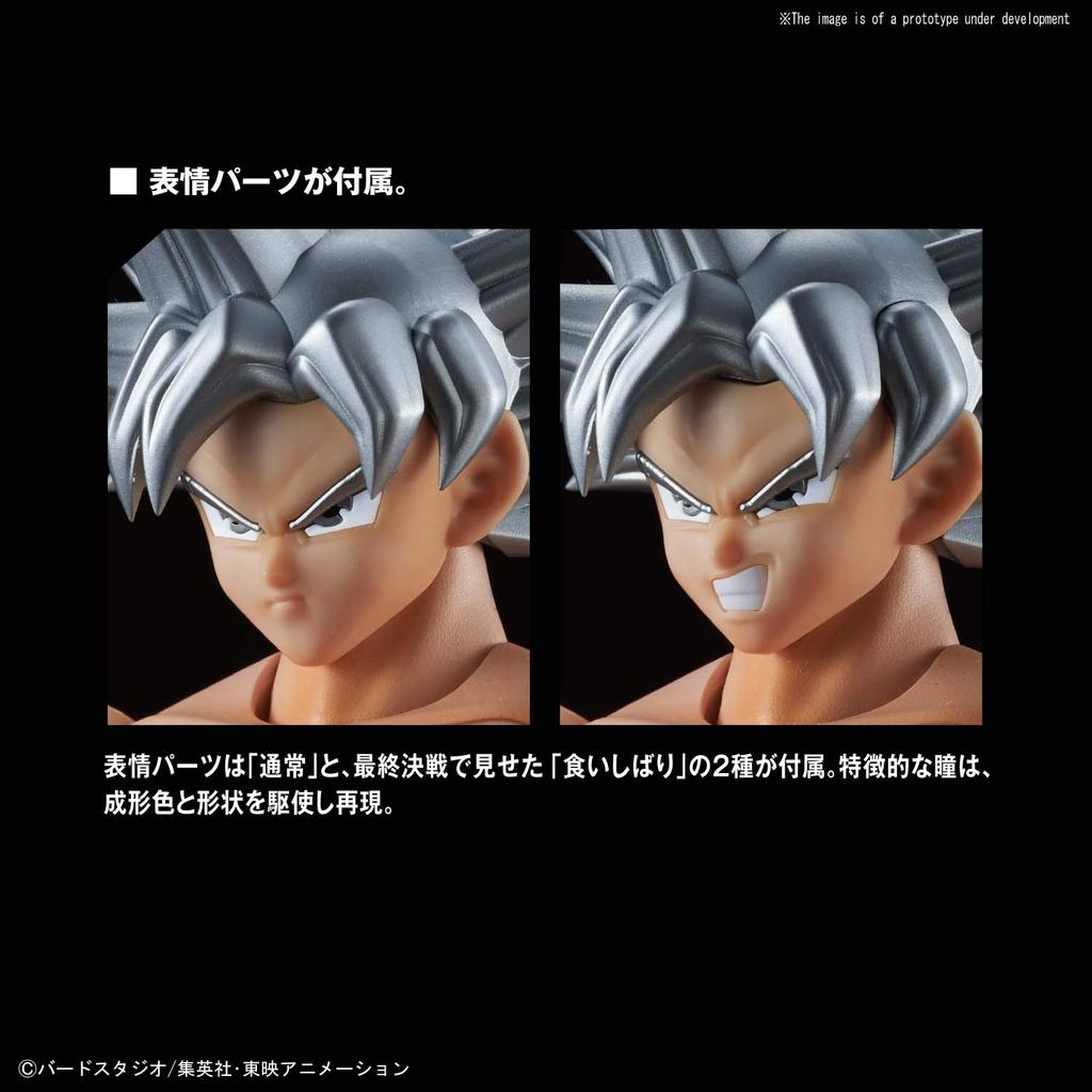 Standard Dragon Ball Son Goku no plastic model Figure-rise (Seishatsu Gokui) Color-coded