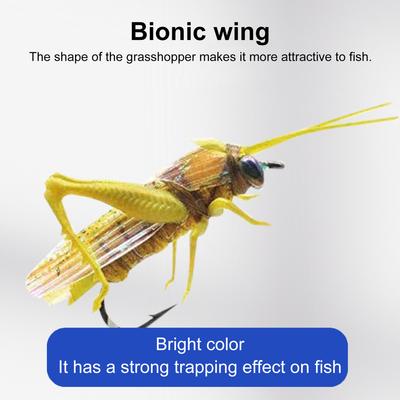 Grasshopper Angelköder Haken Realistische Fliegenfischen Künstliche Köder Angelhaken Bionic Locust Lure Jig Haken Süßwasser Salzwasser Angelzubehör