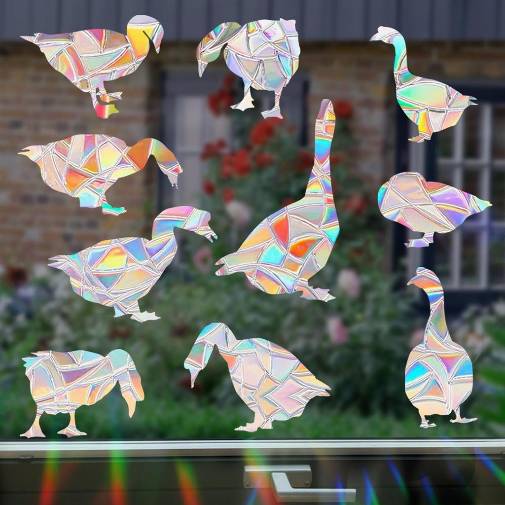 Anti-collision Decals  Birds From Window Collisions, Reusable Window Sticker