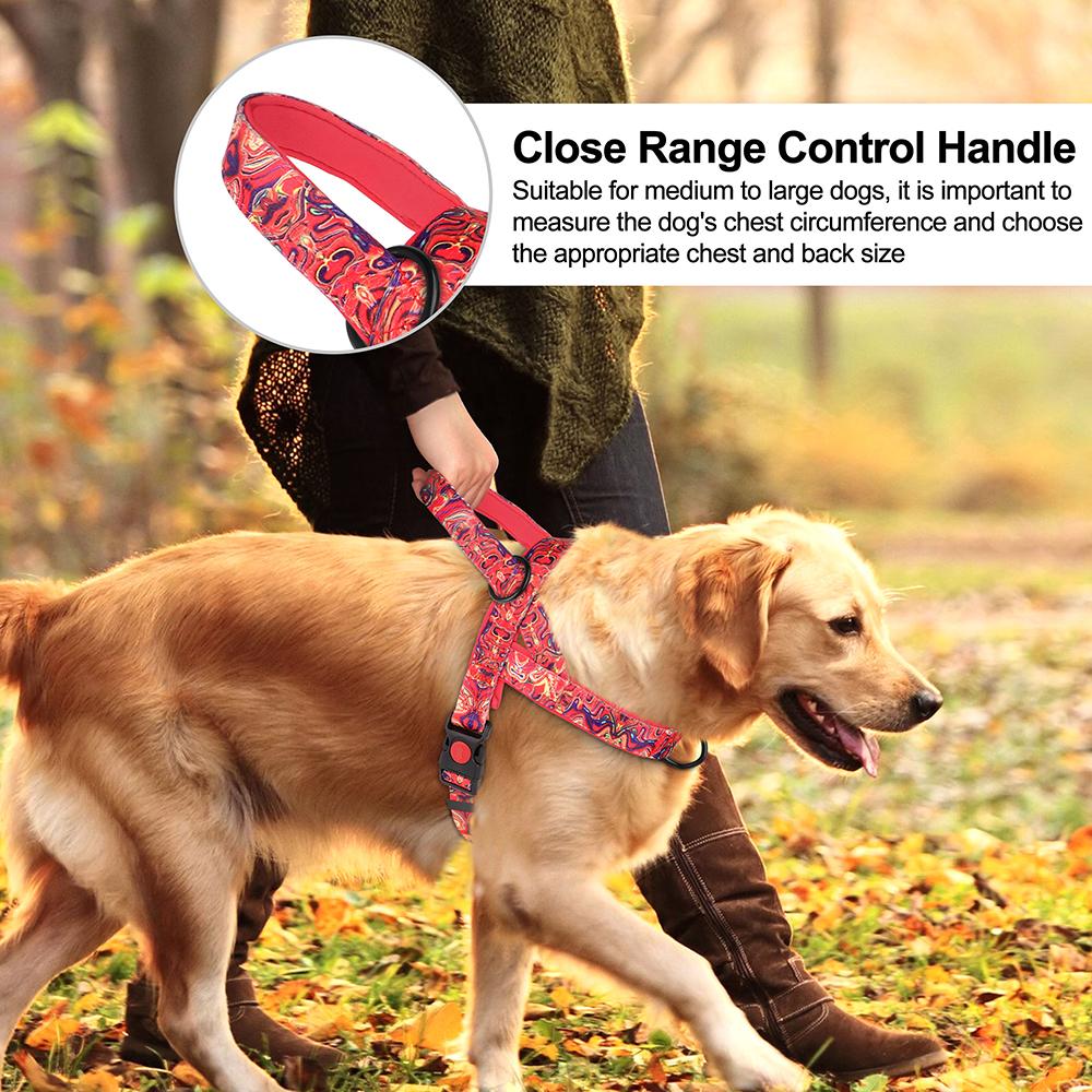 Nylon Dog Harness No Pull Dogs Harnesses Vest Durable Ethnic Pet Training Vests Adjustable For Small Medium Large Dogs Pitbull