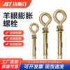 Galvanized Expansion Eye Bolt Hook