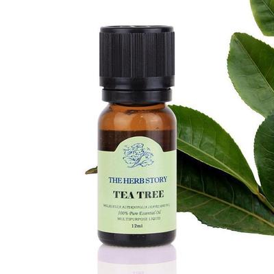 Tea Tree Aroma Essential Oil 12ml (15913917)