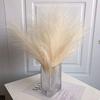 3pcs-Artificial Pampas Grass Simulation Feather Wedding Props Reed Hair Boho Home Decoration