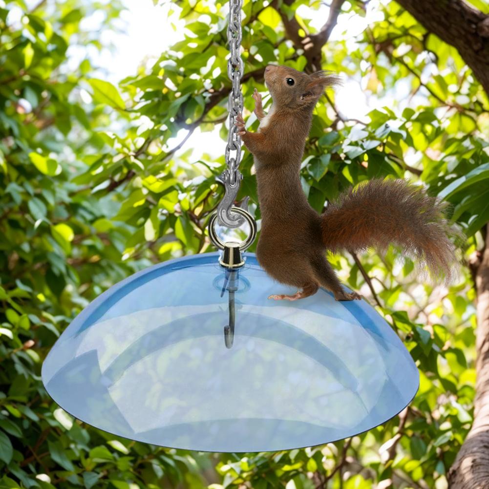 26 Cm Weather Rain Guard No Tool Install Clear Baffle Weather Guard Durable Weather Resistant for Outdoor Wild Bird Seed Feeder